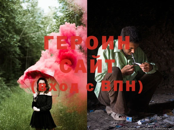 прущие грибы Балахна