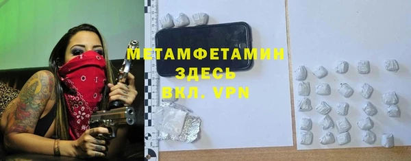прущие грибы Балахна