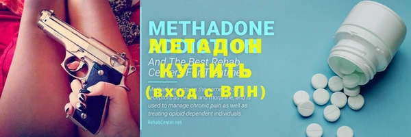 прущие грибы Балахна