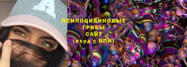 прущие грибы Балахна