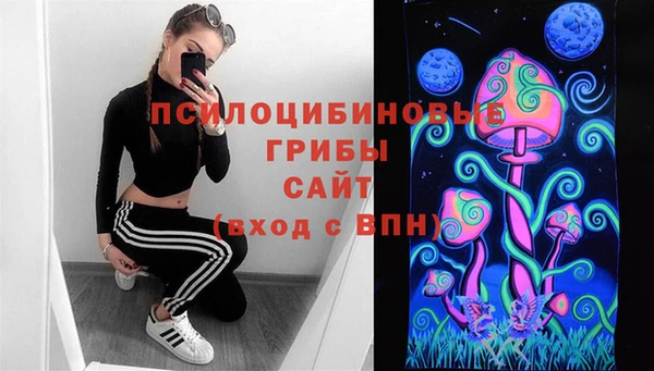 соль ск Балабаново