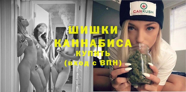 прущие грибы Балахна