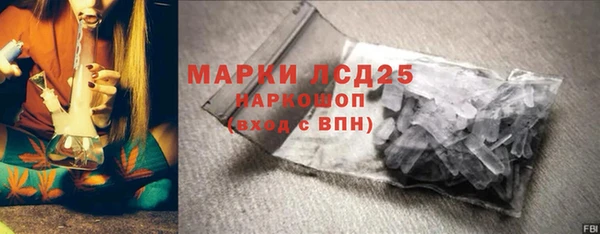 прущие грибы Балахна